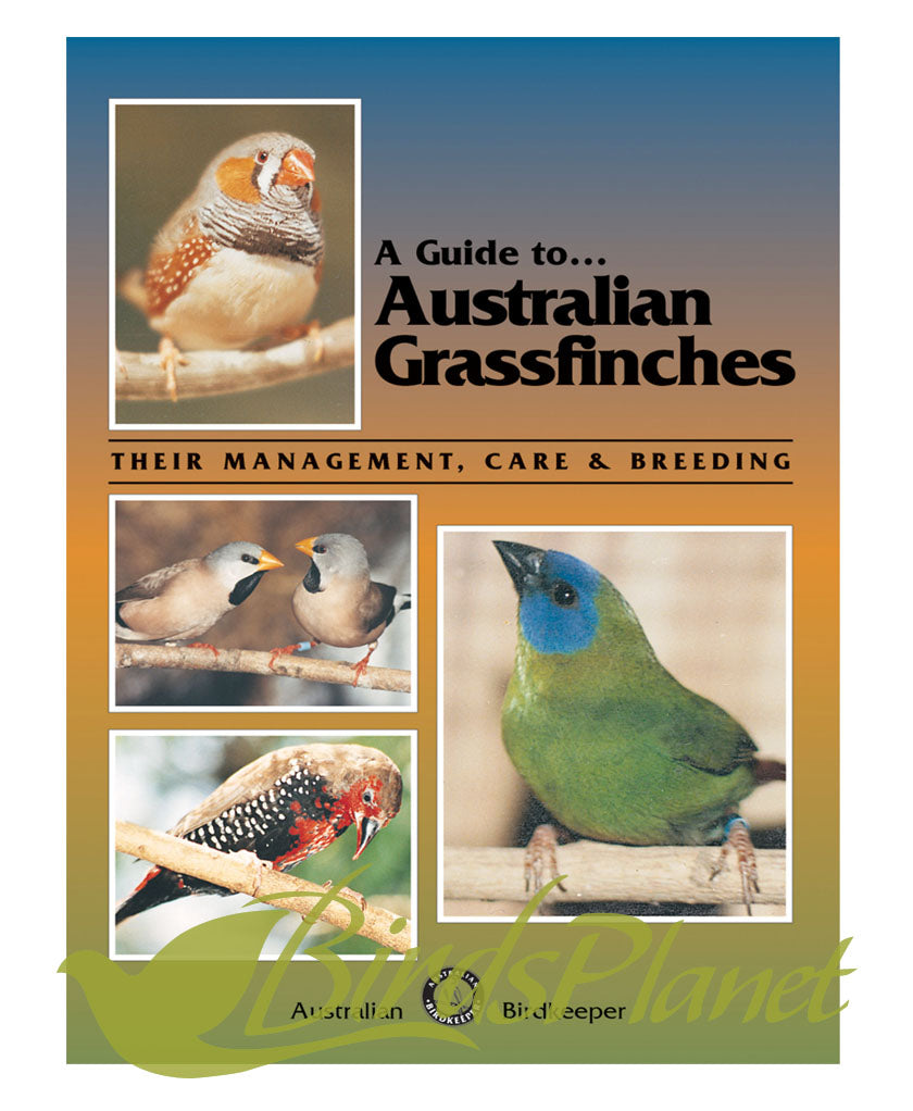 A Guide to Australian Grassfinches