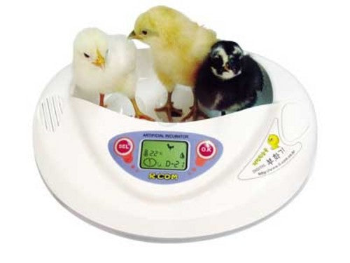 Rcom Pro Mini Egg Incubator
